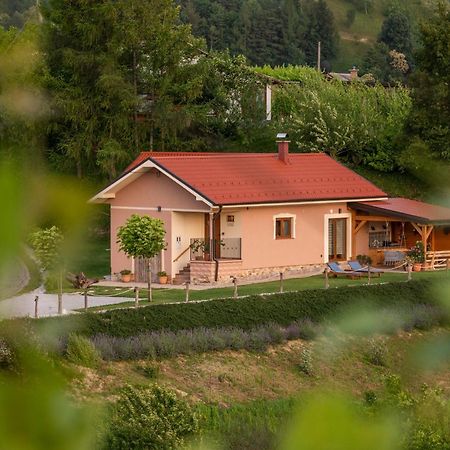 Hill Cottage Haloze Gruskovec ภายนอก รูปภาพ
