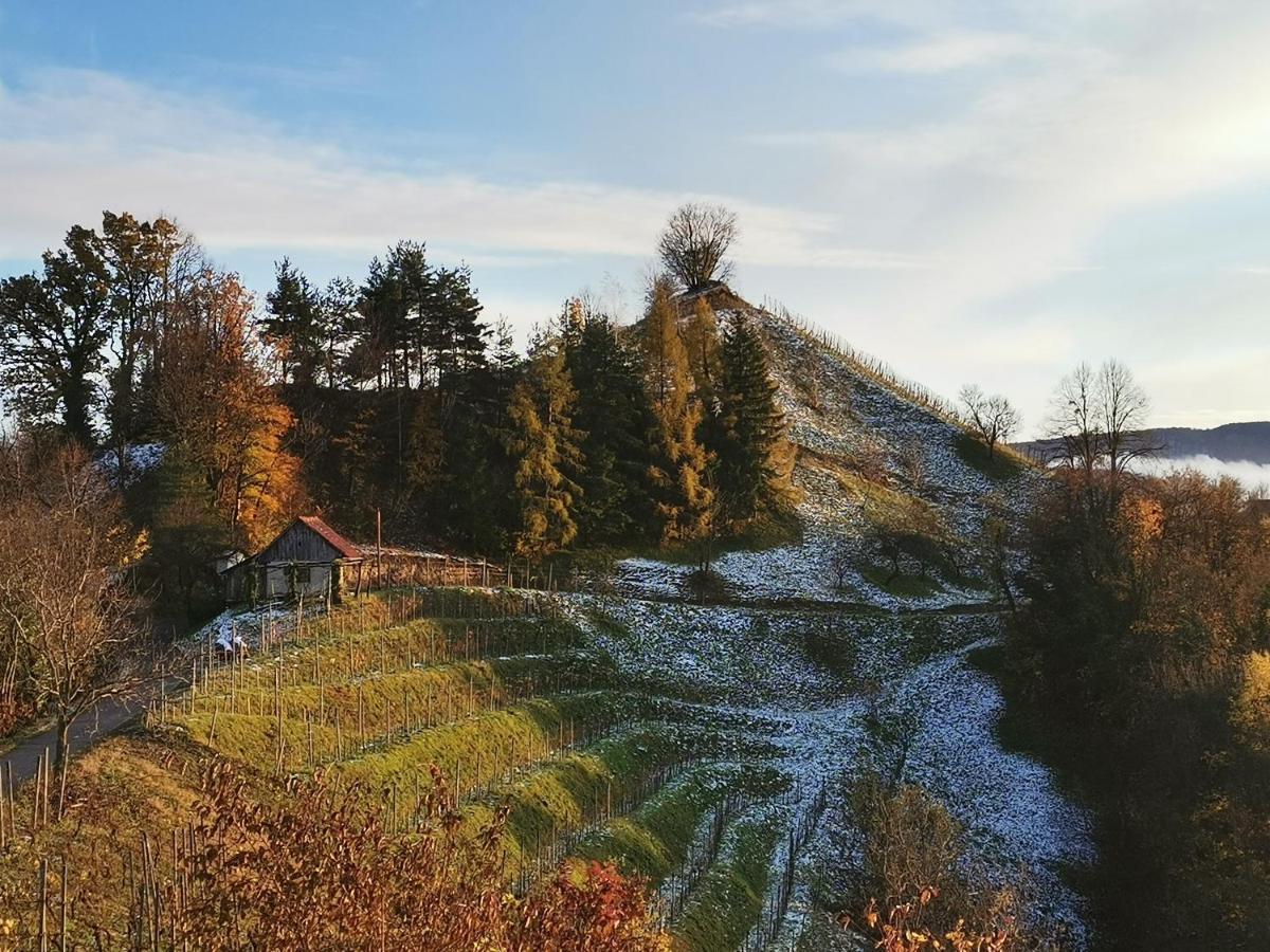 Hill Cottage Haloze Gruskovec ภายนอก รูปภาพ