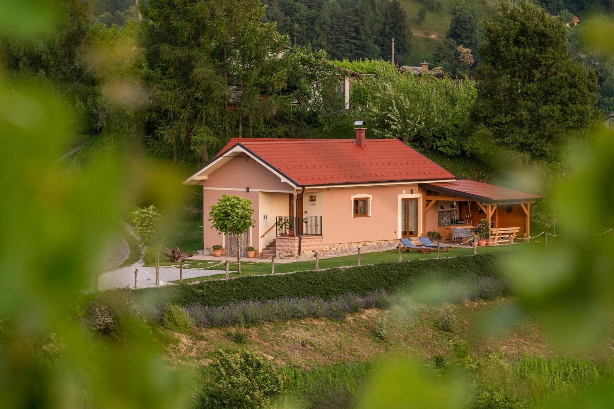 Hill Cottage Haloze Gruskovec ภายนอก รูปภาพ