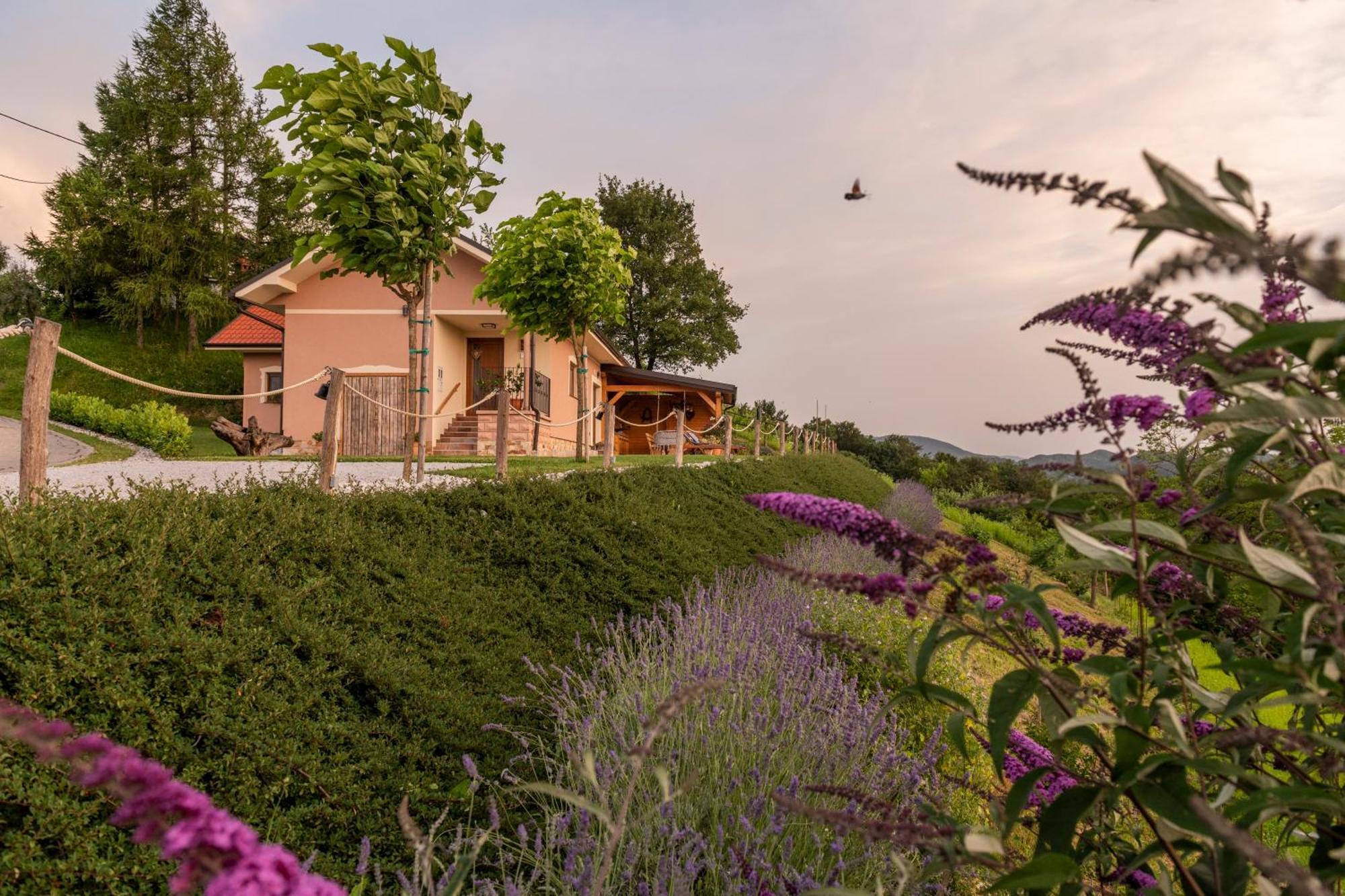 Hill Cottage Haloze Gruskovec ภายนอก รูปภาพ